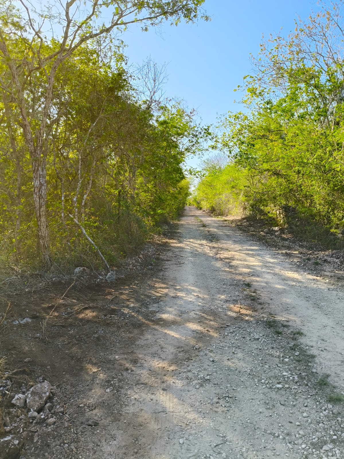 2.4 Ac in Tixkuncheil