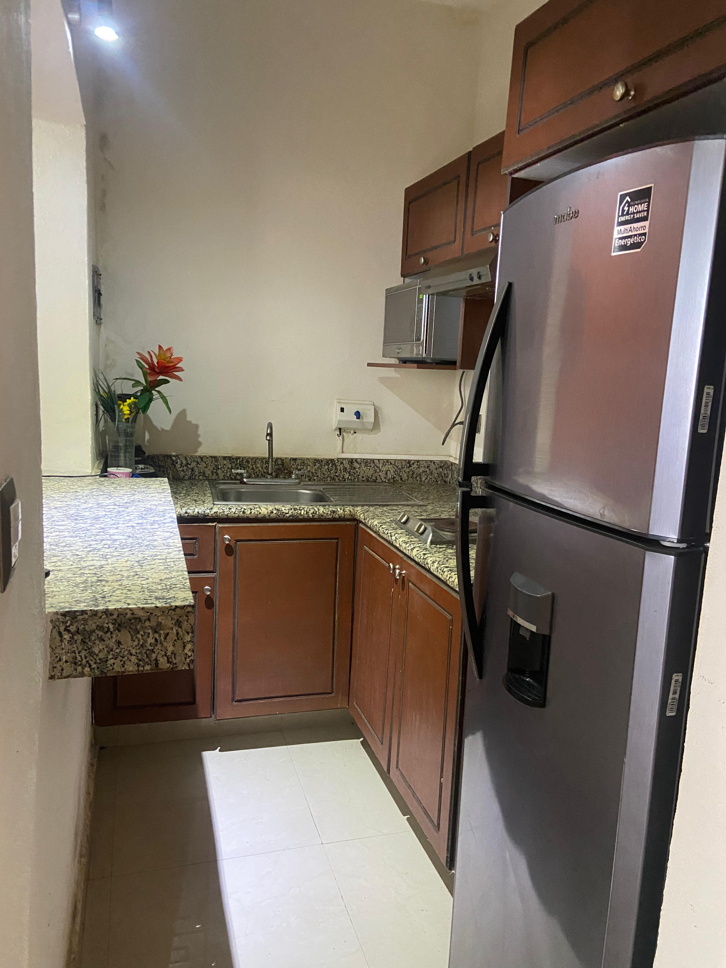 Furnished apartment near the Convention Center S. XXI