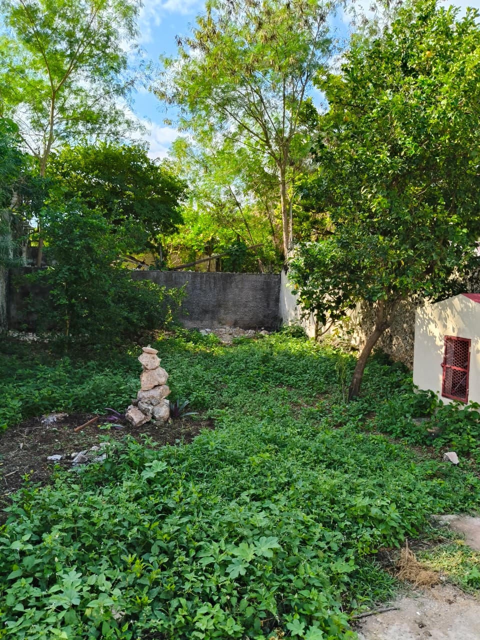 Cerca del Parque de San Sebastian