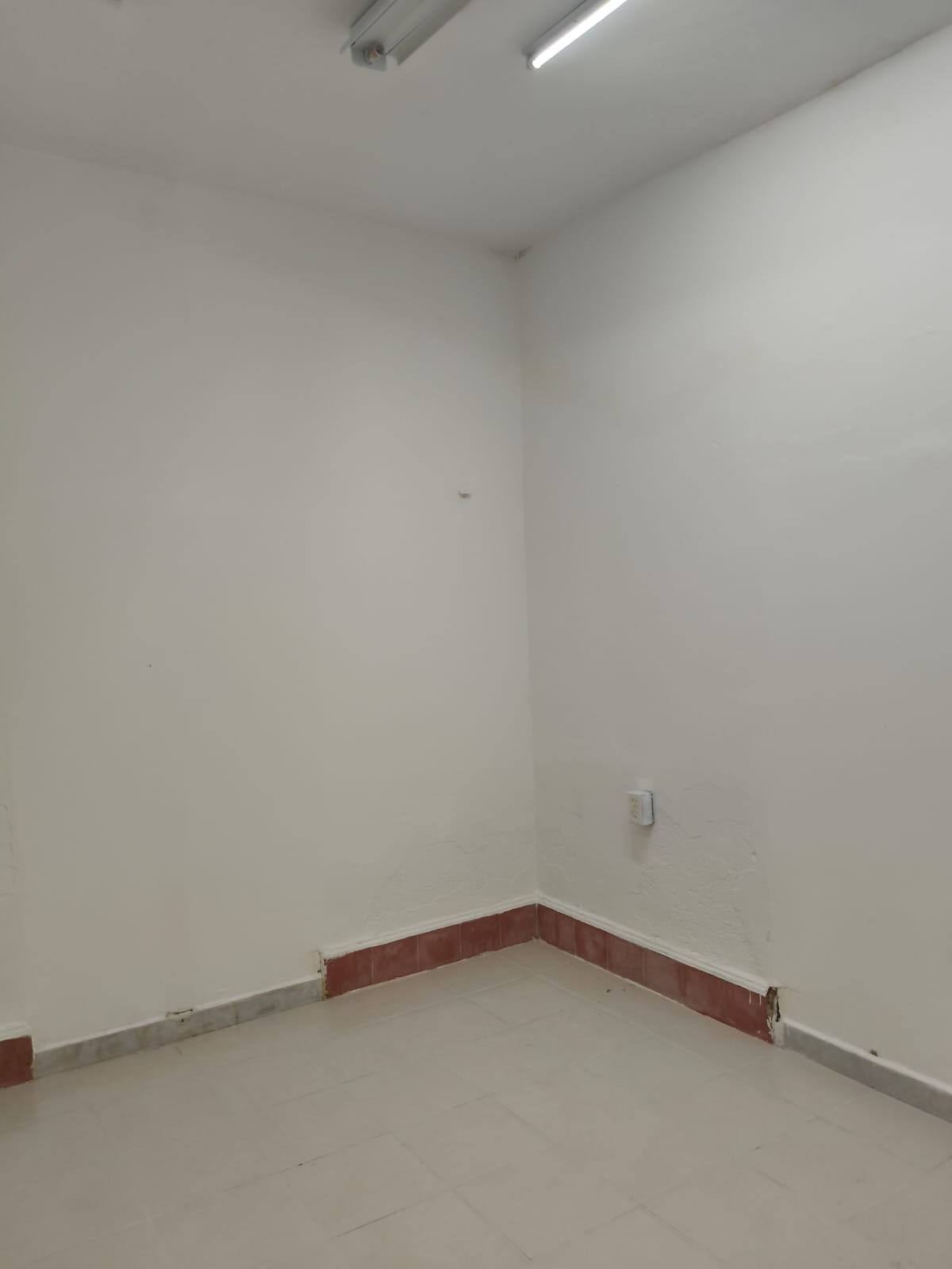 High-traffic location, steps from Av. Itzáes. Your brand belongs here.