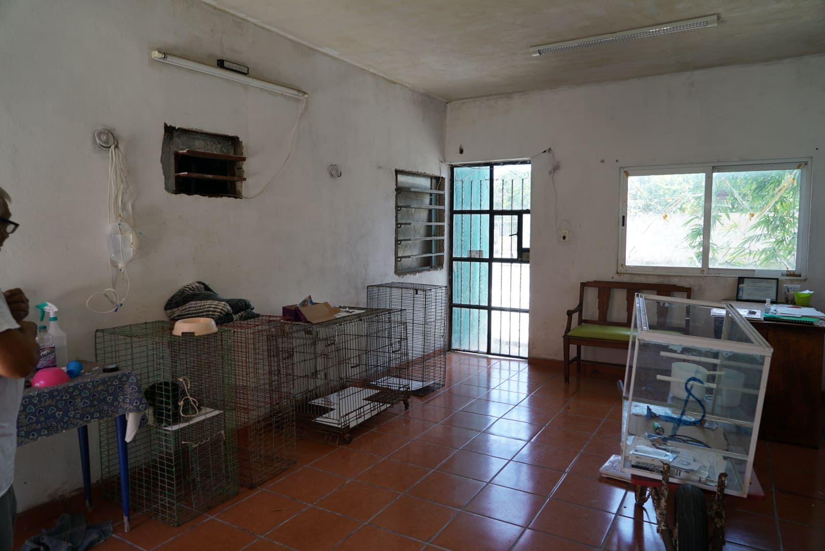 Lote en calle 21