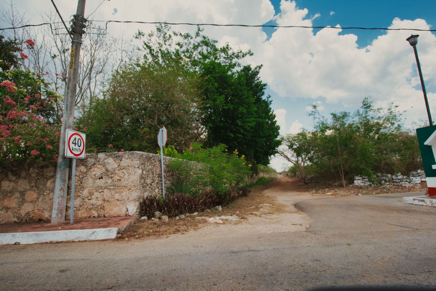 Paraíso con Ingresos