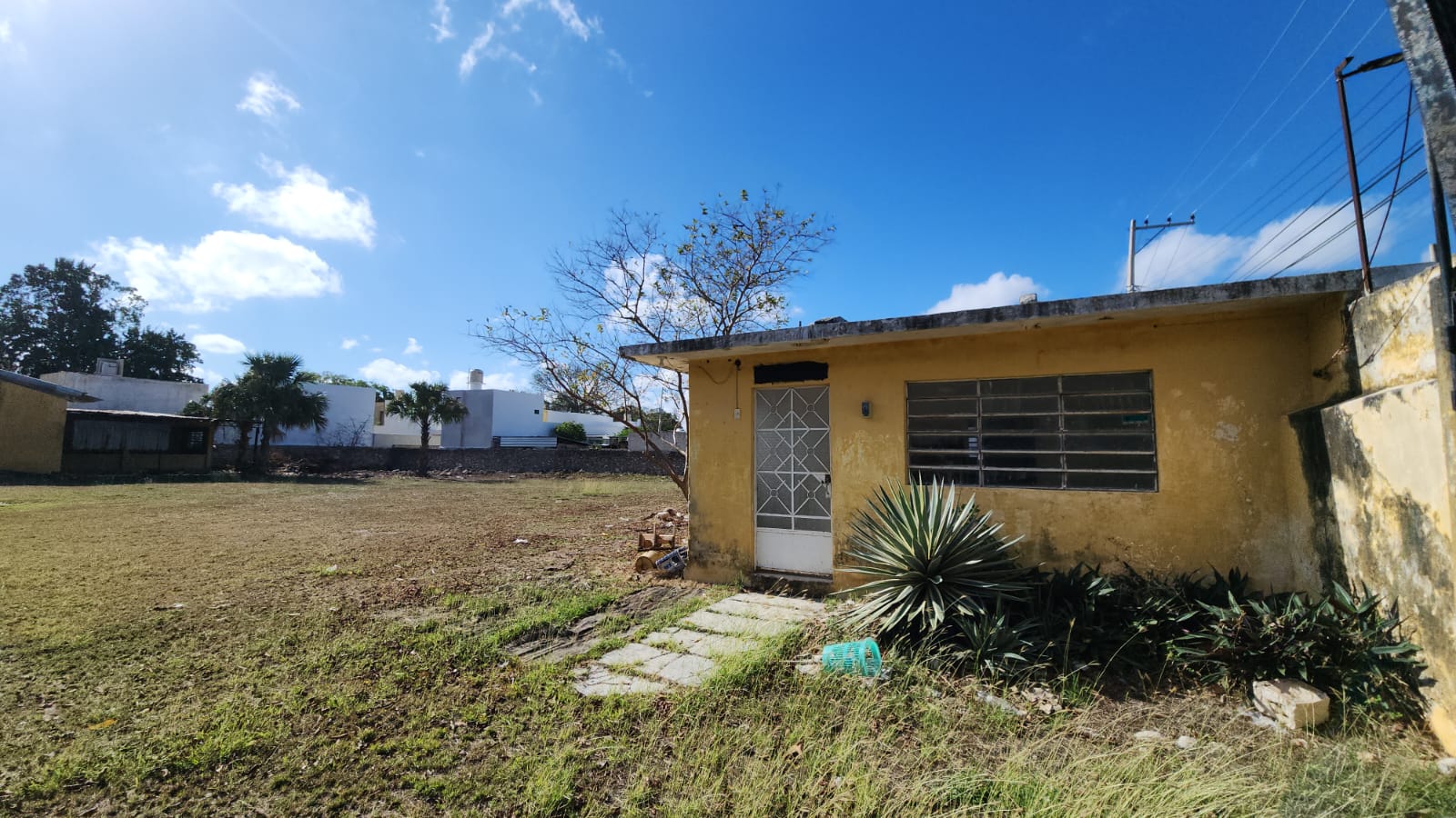 5,000 sq m. in Centro!