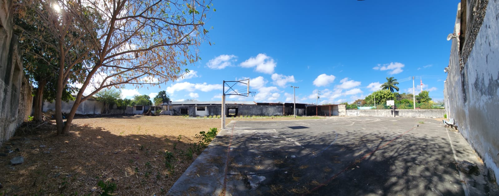 5,000 sq m. in Centro!