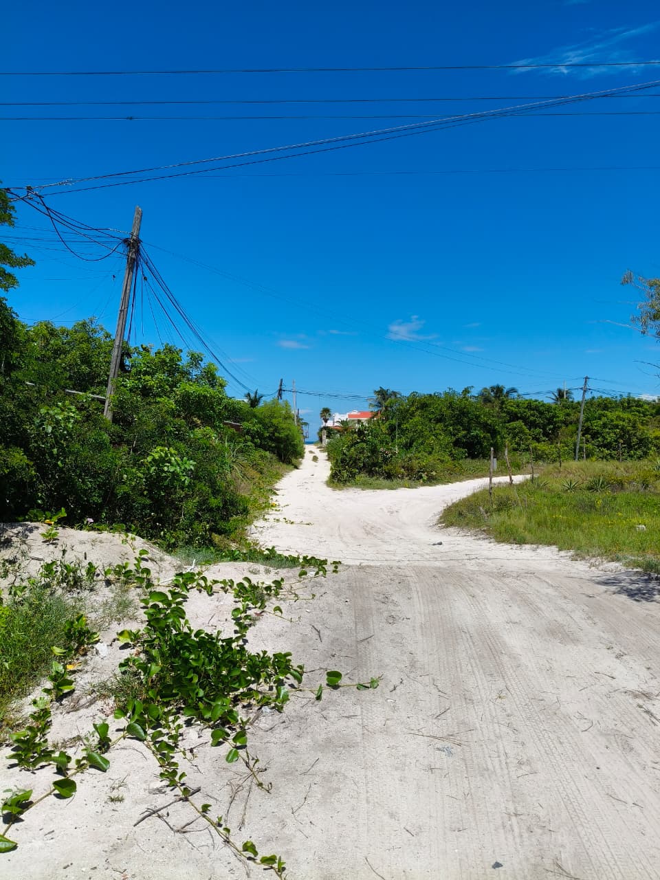 Land in 2nd row, Chicxulub