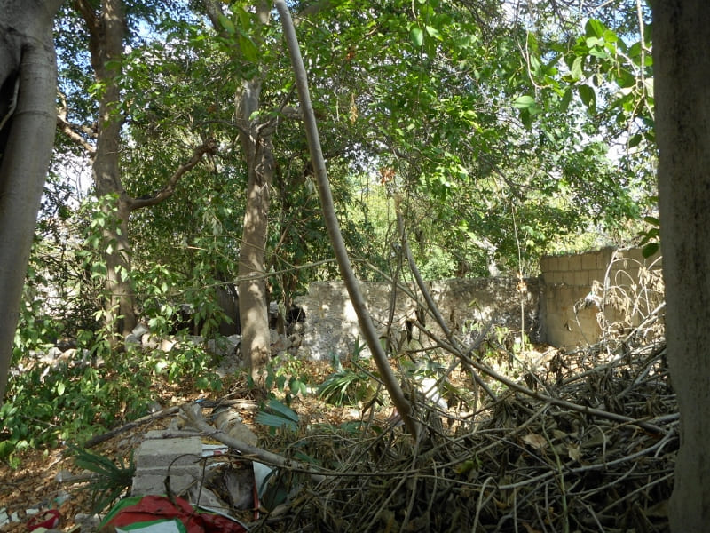 Escalera de caracol