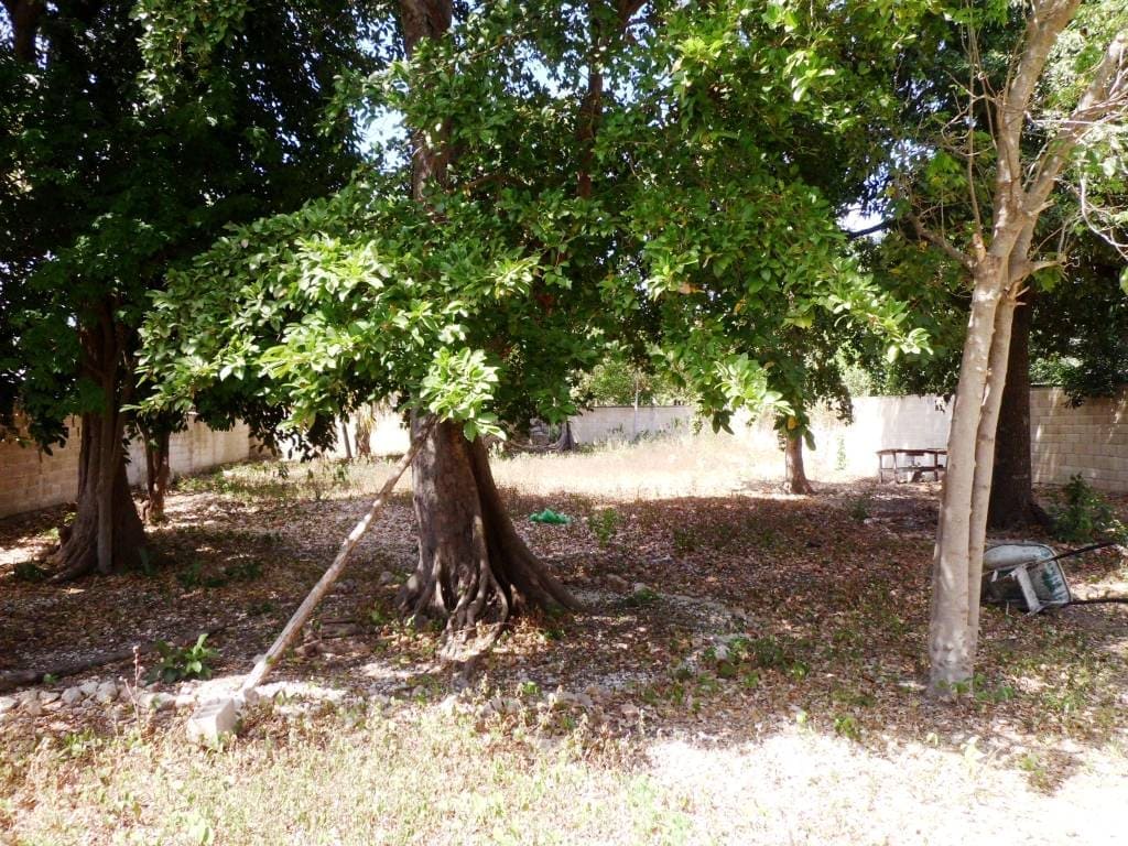 Colonial en Gran Terreno