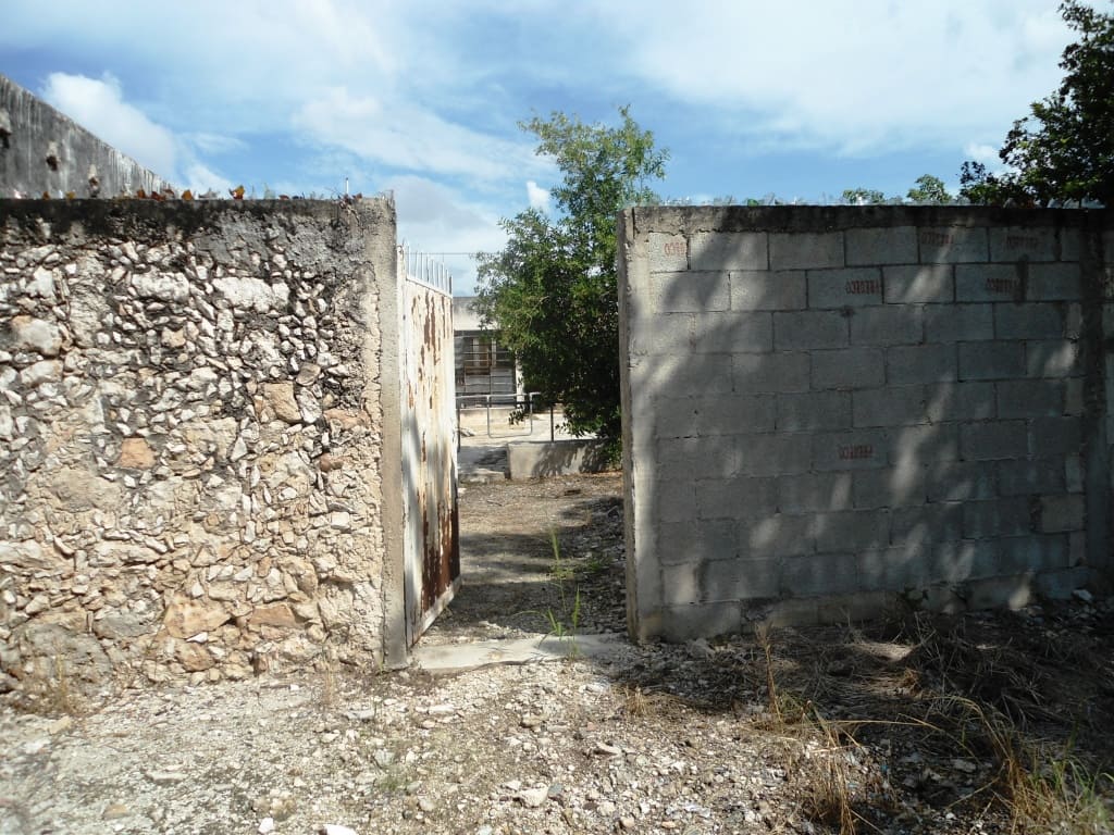 Pasta tiles and deep lot