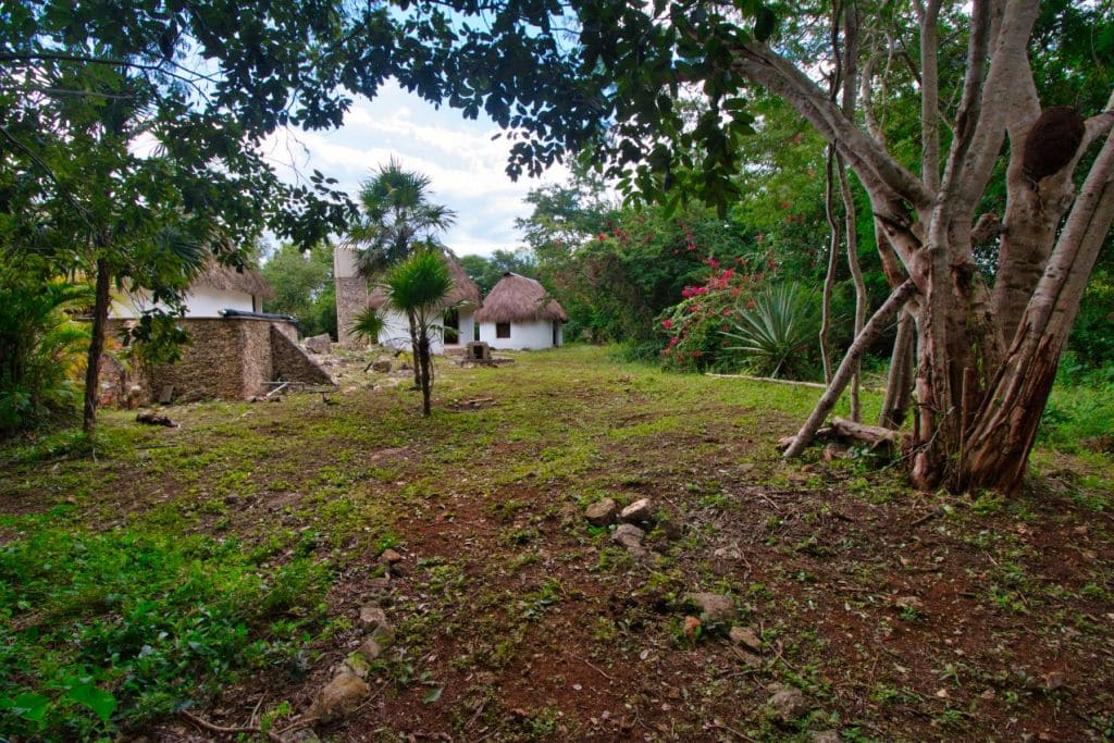 Cerca de la Naturaleza y Dioses Mayas