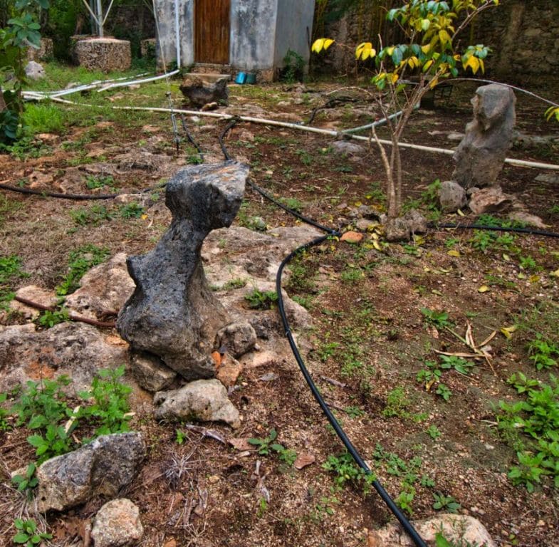 Cerca de la Naturaleza y Dioses Mayas