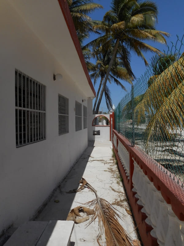 Surrounded by Coco Palms