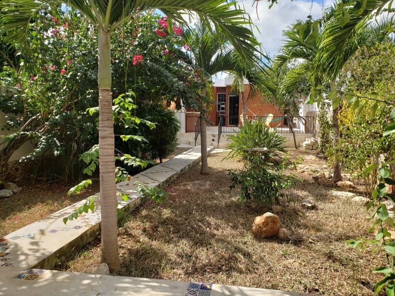 Oasis Urbano