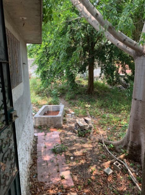 Little Green House close to La Ermita