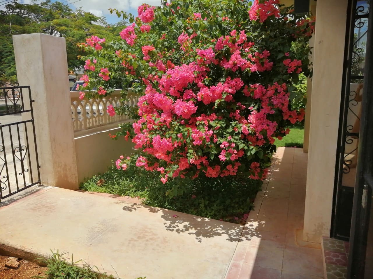 Beautiful One-Story House in La Colonia Alemán