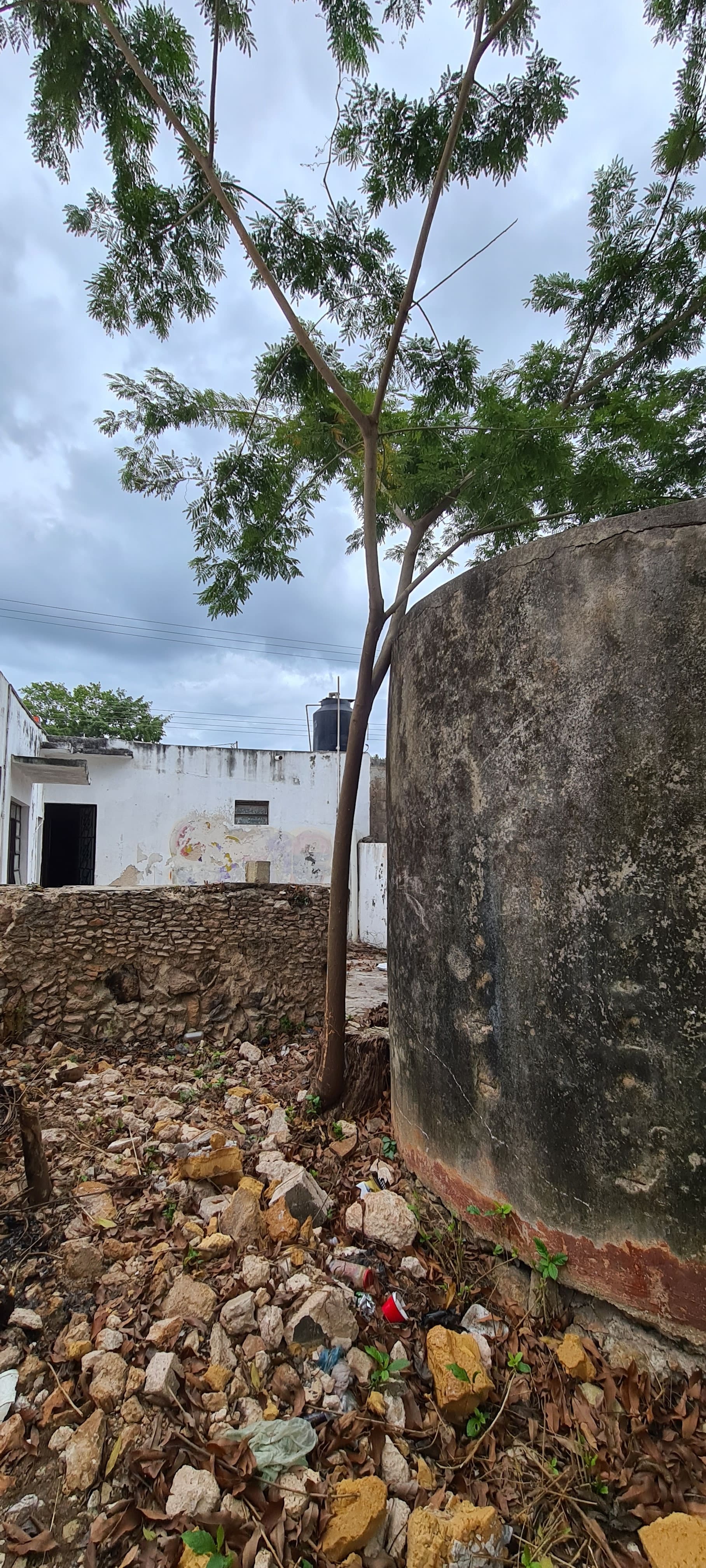 Vida en el pueblo de Tekax