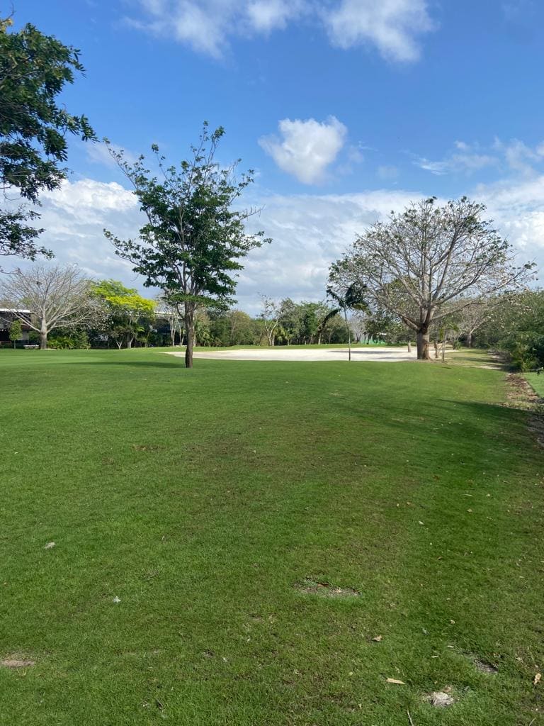 Spectacular Yucatan Country Club