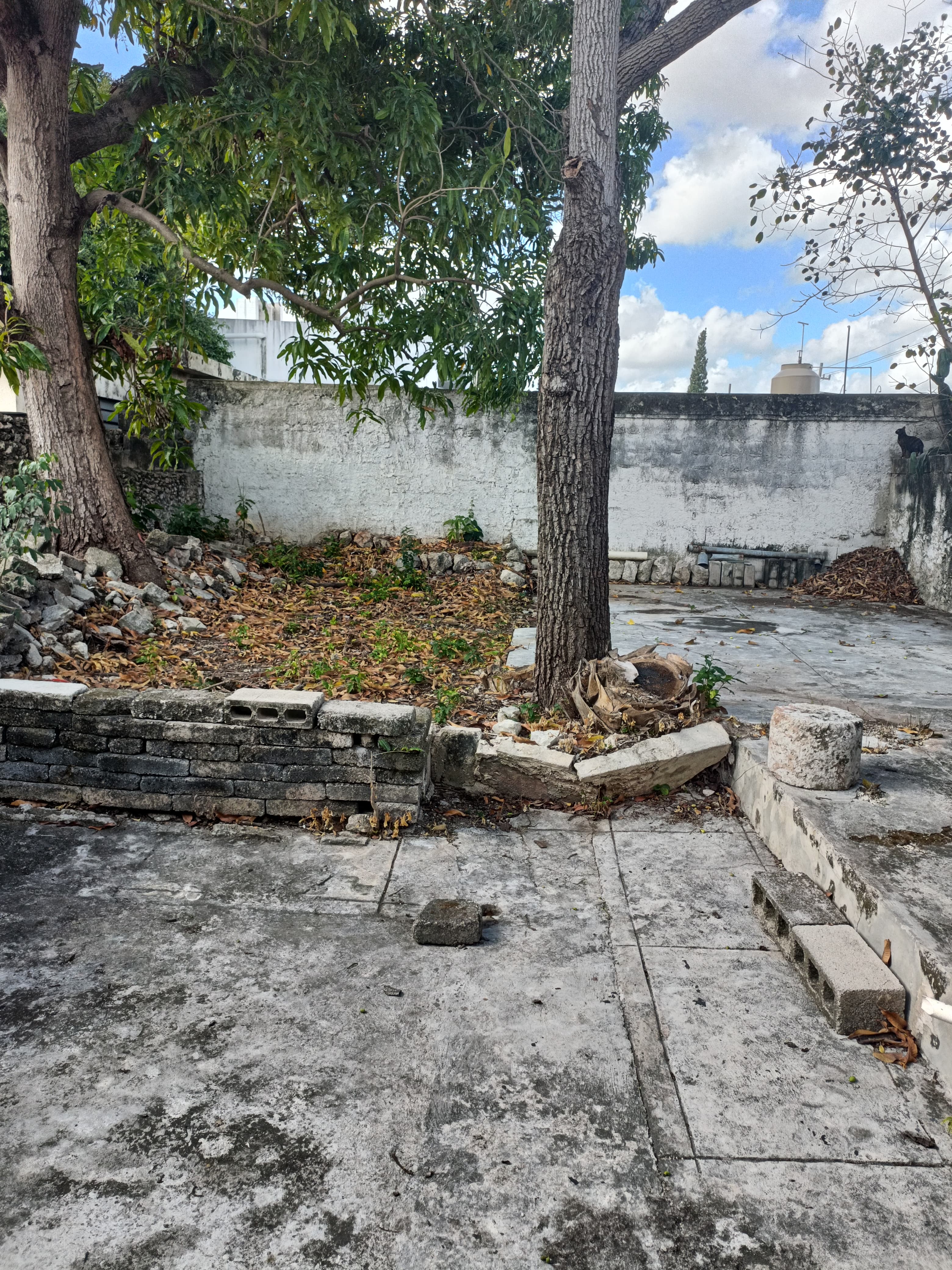 House to Remodel in Petronila