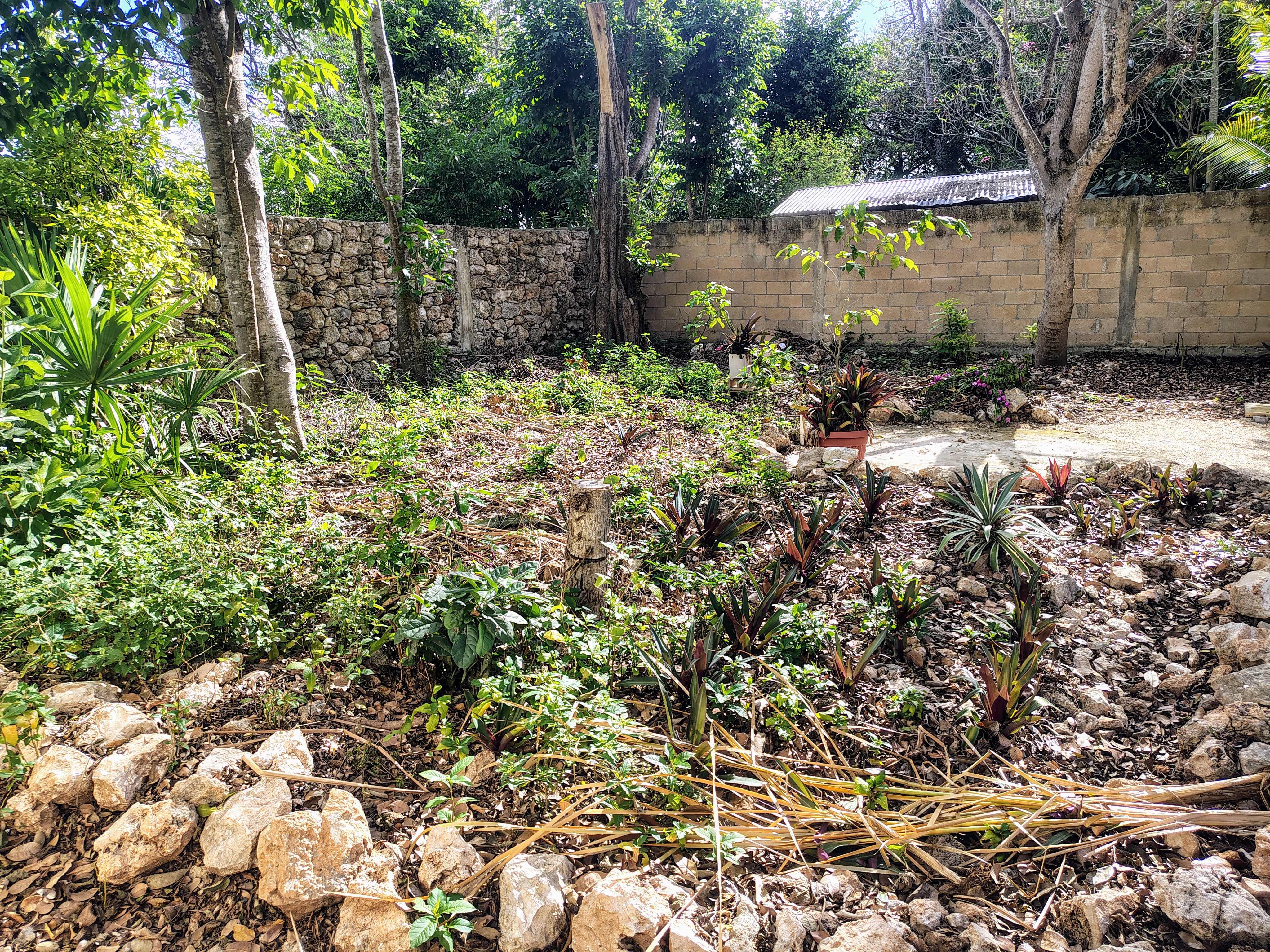 Propiedad histórica en Dzoyaxche