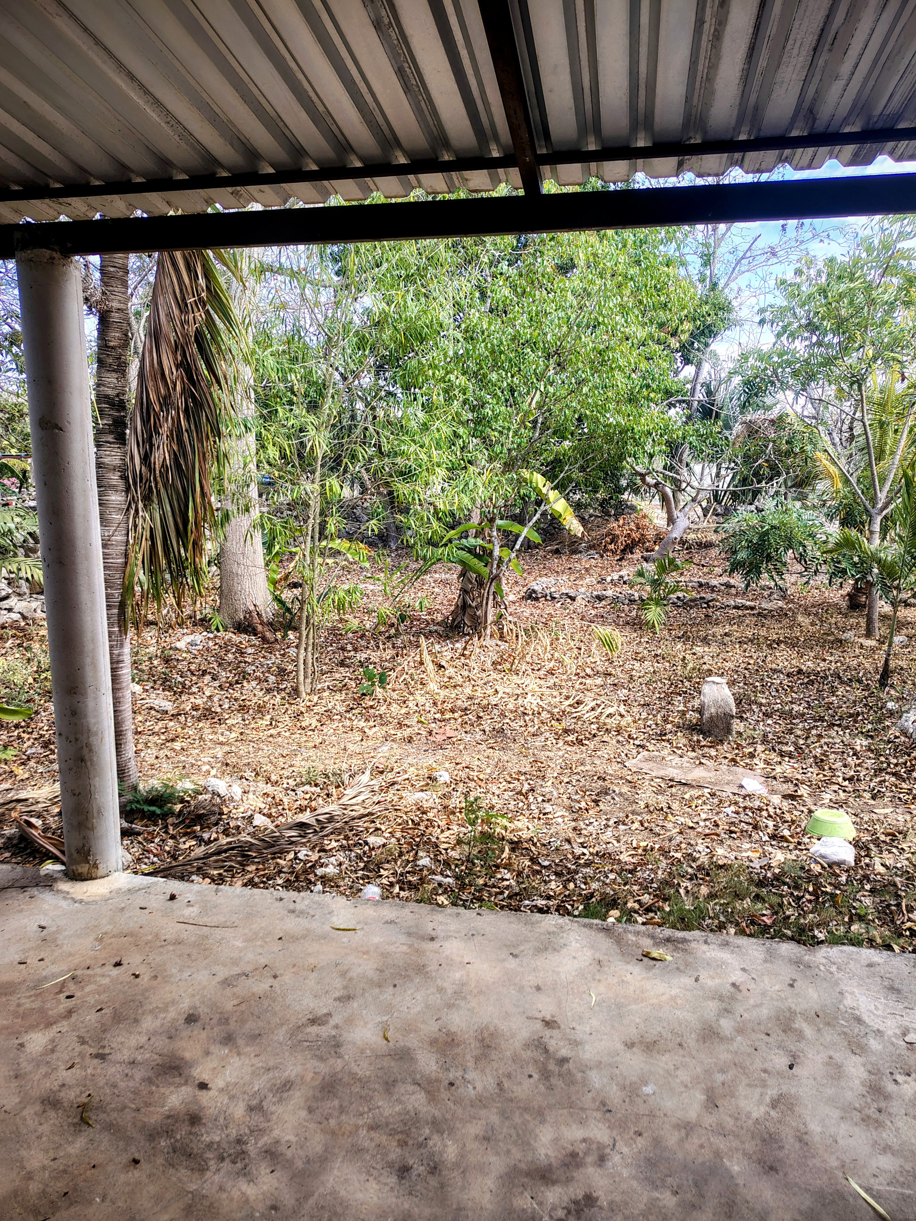 Affordable casita in Dzilam