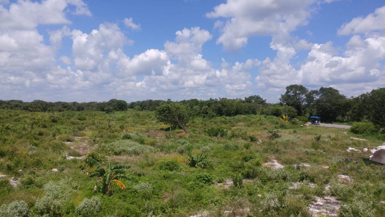 Lote para Desarrollar en Zona de Cenotes