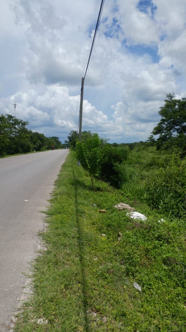 Lote para Desarrollar en Zona de Cenotes