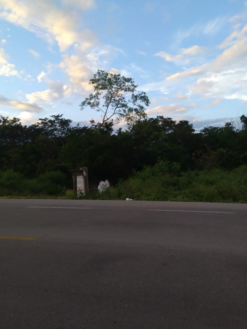 Terreno en Periférico de Motul