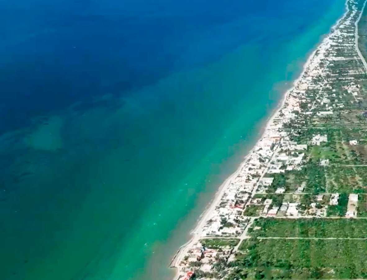 Paradise in Chicxulub