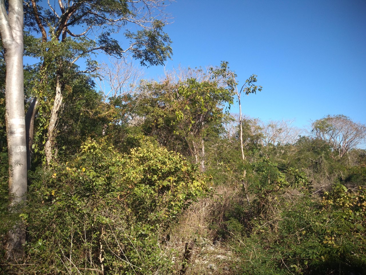 Terreno en Cosgaya