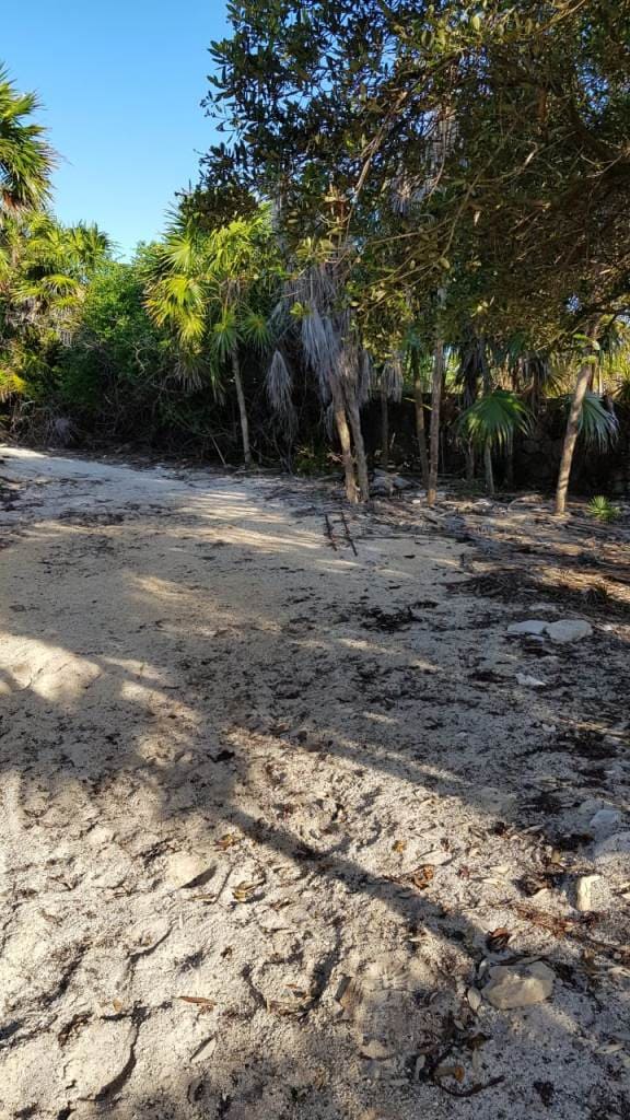 White Sand in Soliman Bay