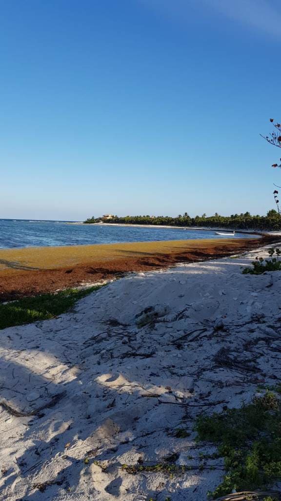 White Sand in Soliman Bay