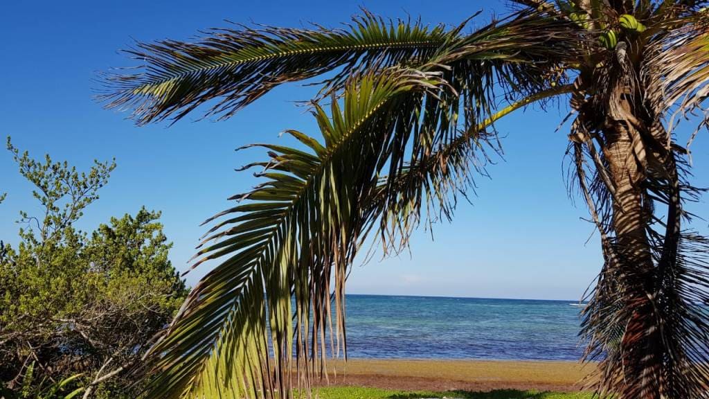 White Sand in Soliman Bay