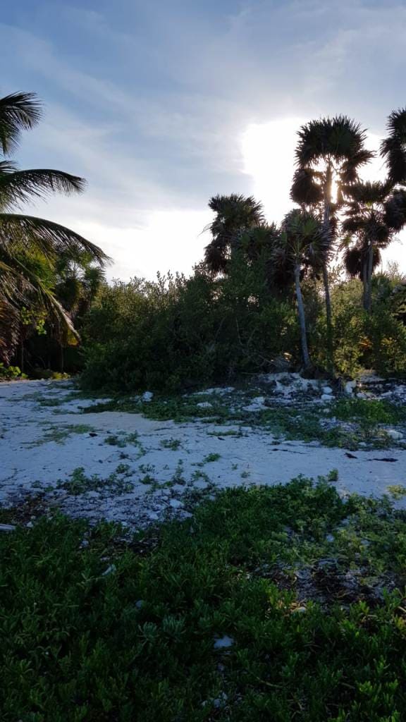 White Sand in Soliman Bay