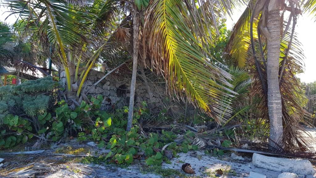 White Sand in Soliman Bay