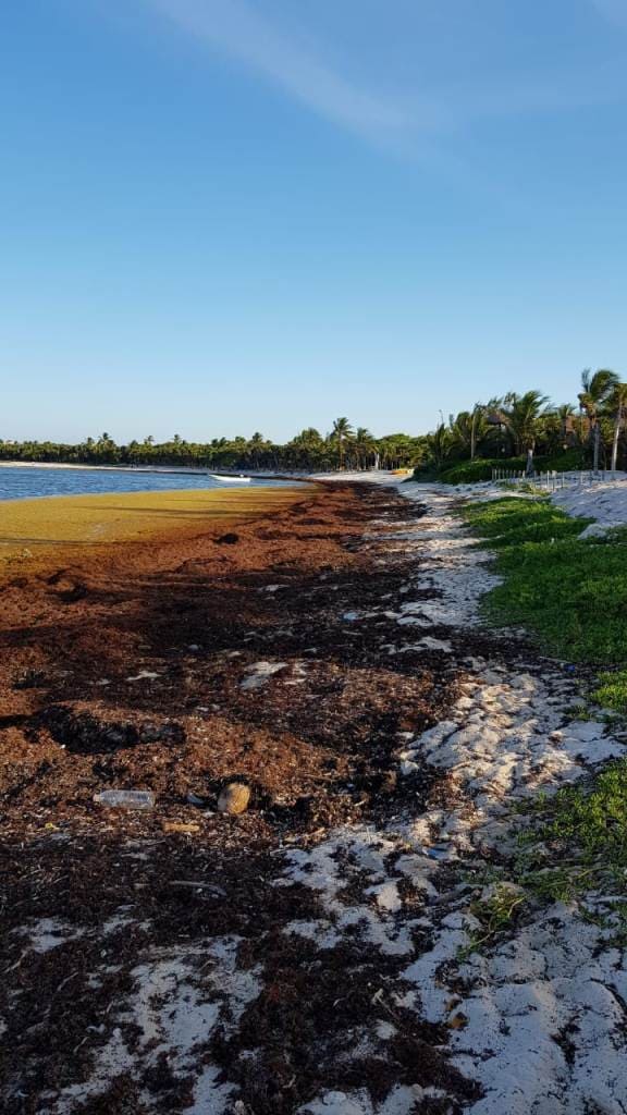 Arena blanca en Bahia Soliman