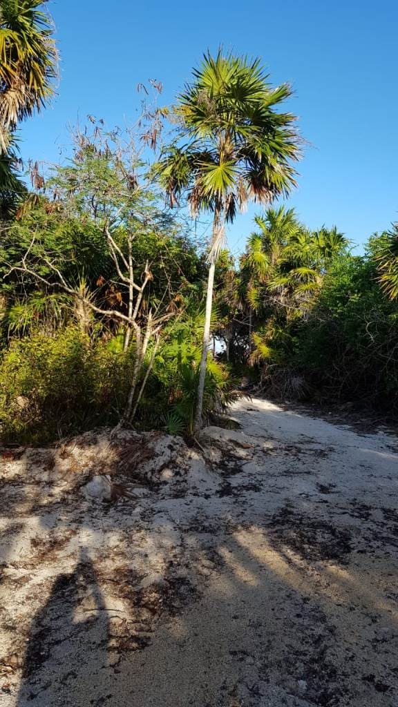 White Sand in Soliman Bay