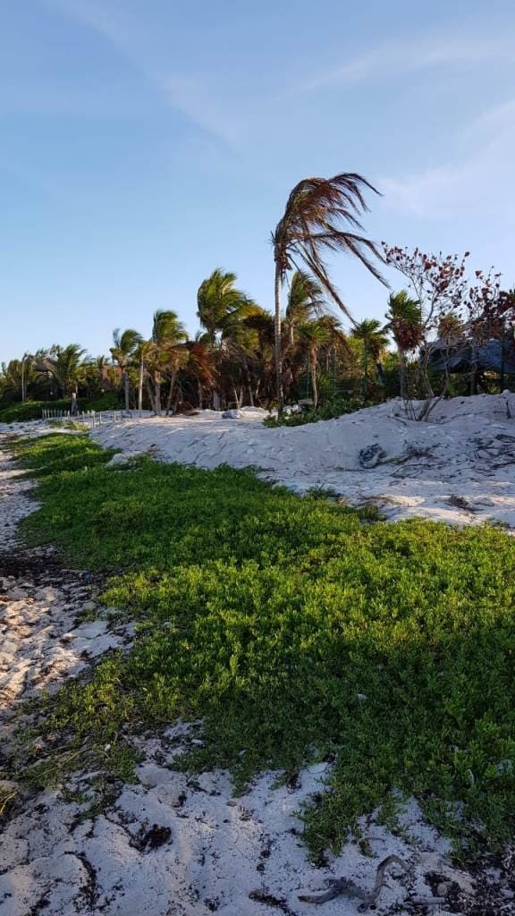 White Sand in Soliman Bay