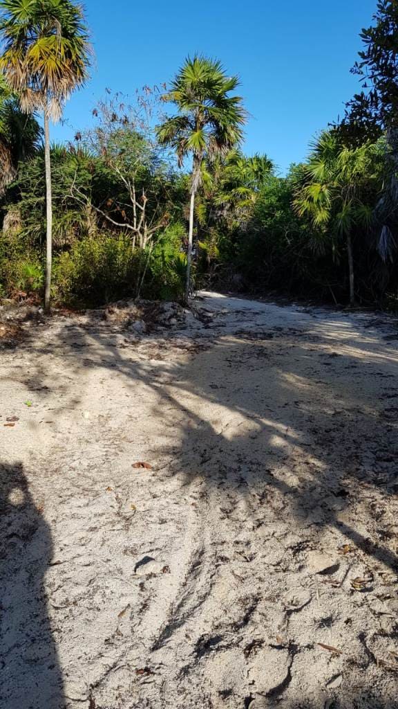 White Sand in Soliman Bay