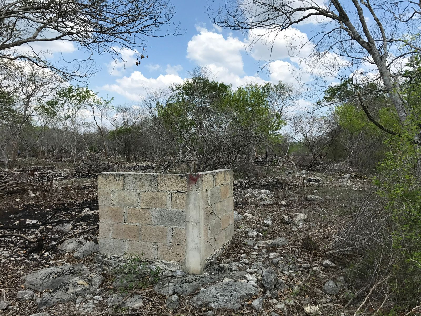 Piece of Land near to the Yucatán Country Club