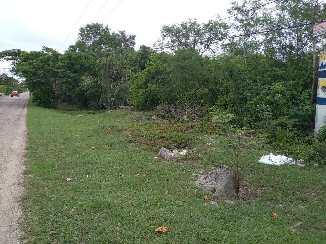 Dos Grandes terrenos en Xmatkuil