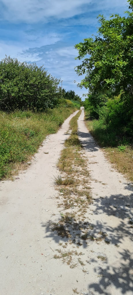 Rural Telchac Puerto