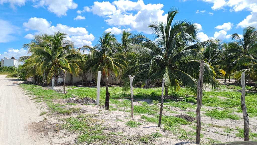 Rural Telchac Puerto