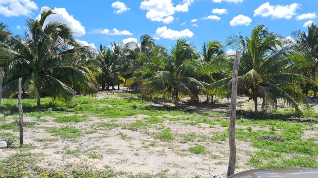 Rural Telchac Puerto