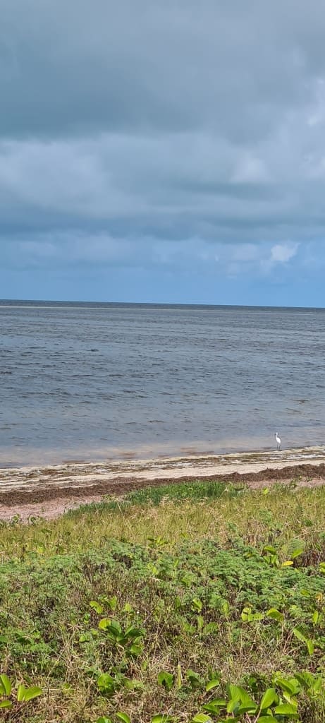 Frente al Mar en Dzilam de Bravo