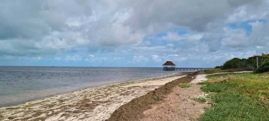 Frente al Mar en Dzilam de Bravo