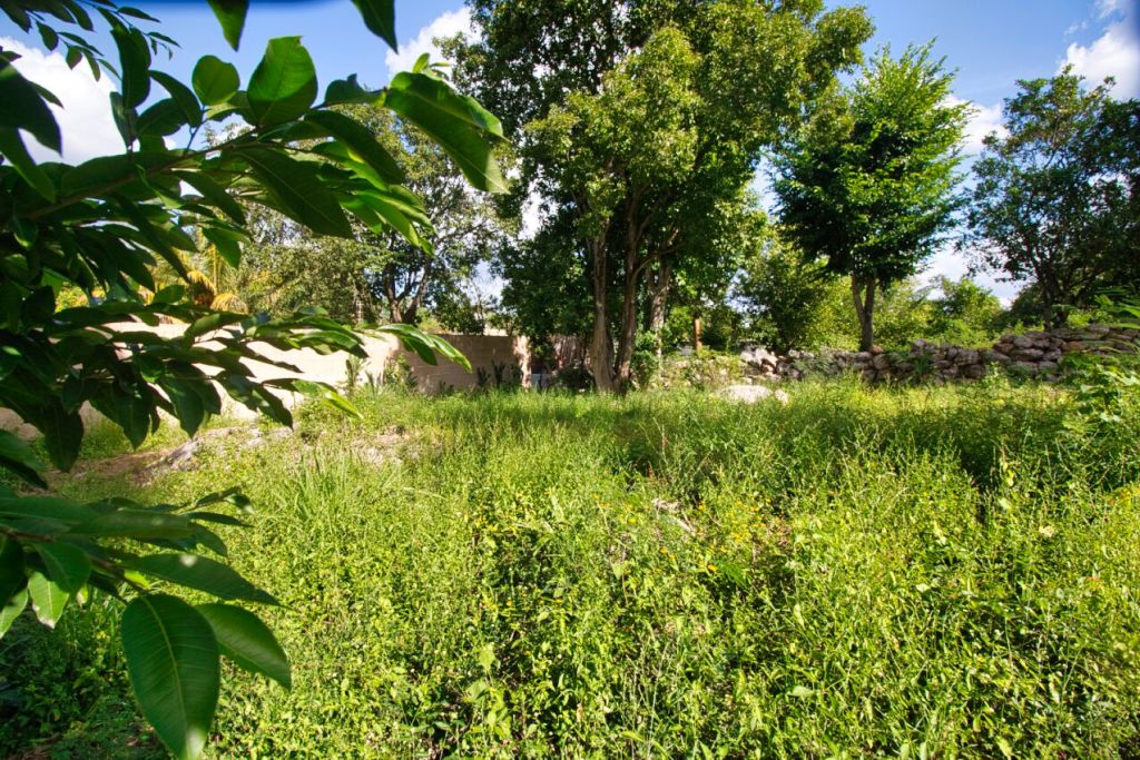 A Walled Lot In The Magic City Of Izamal