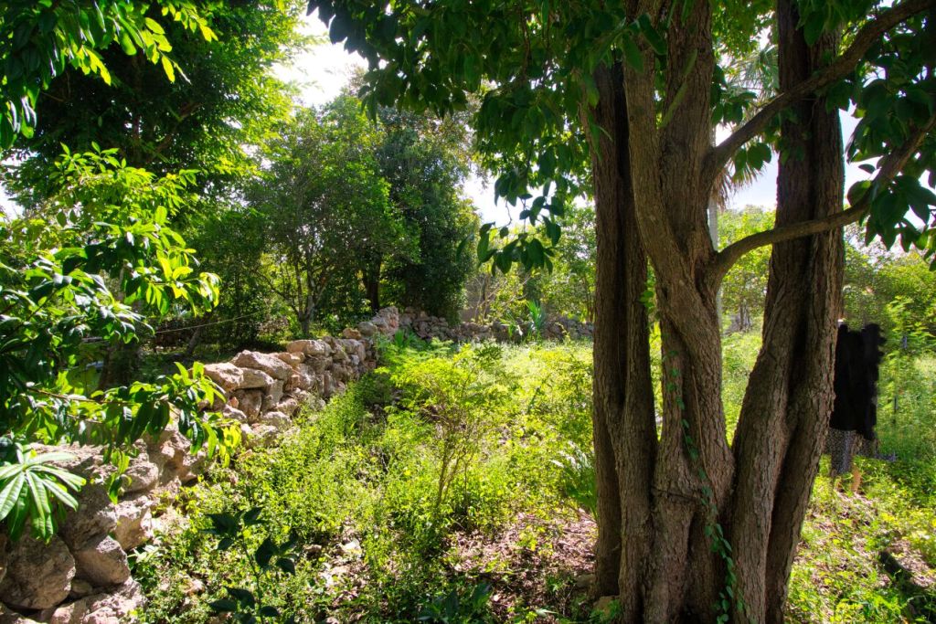 A Walled Lot In The Magic City Of Izamal