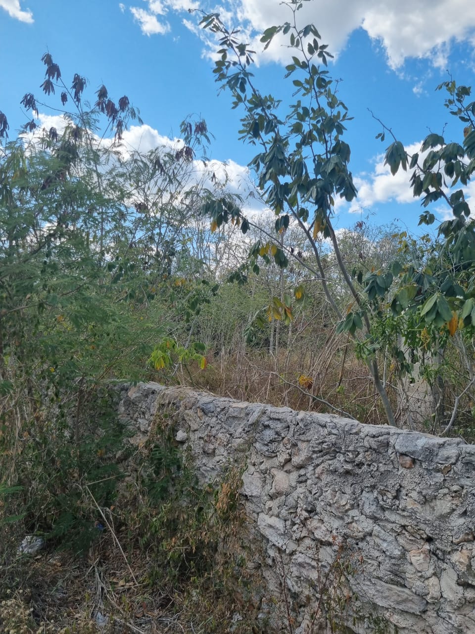 Magical Izamal opportunity