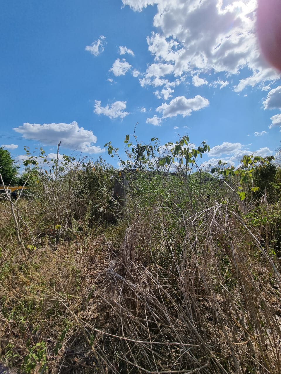 Oportunidad Mágica De Izamal