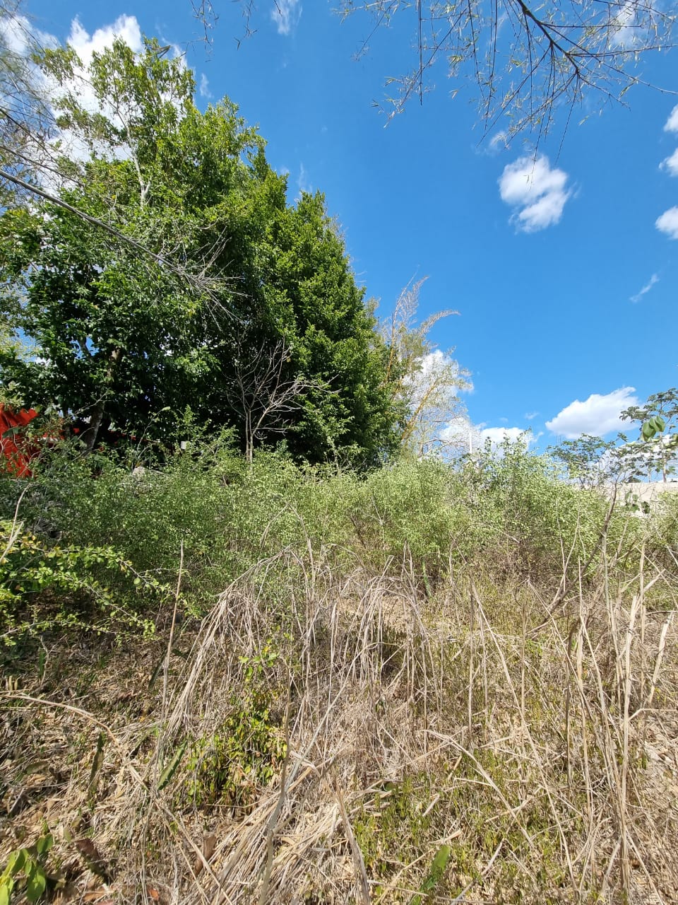 Magical Izamal opportunity