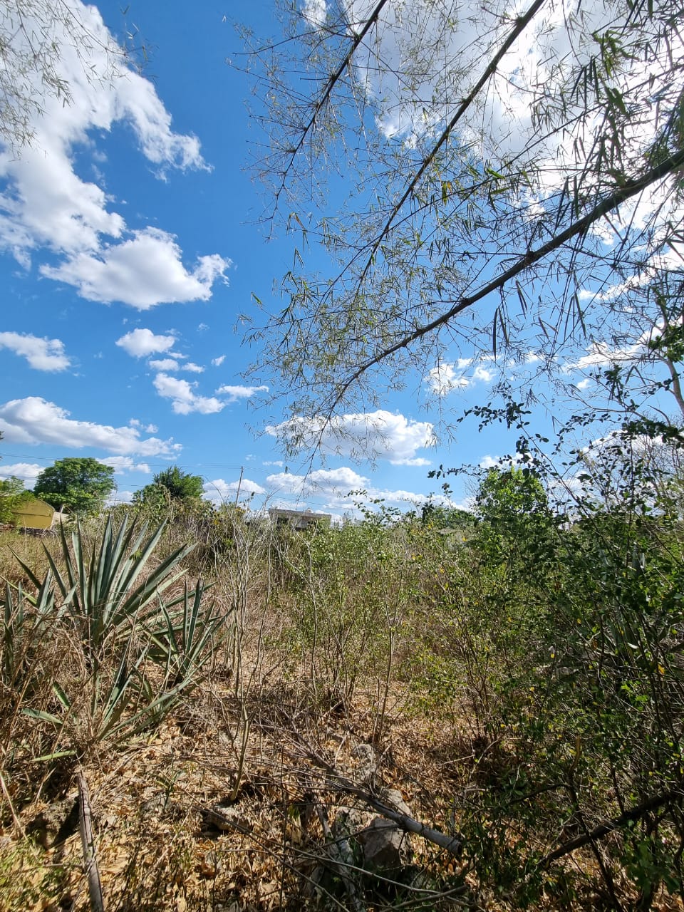 Oportunidad Mágica De Izamal